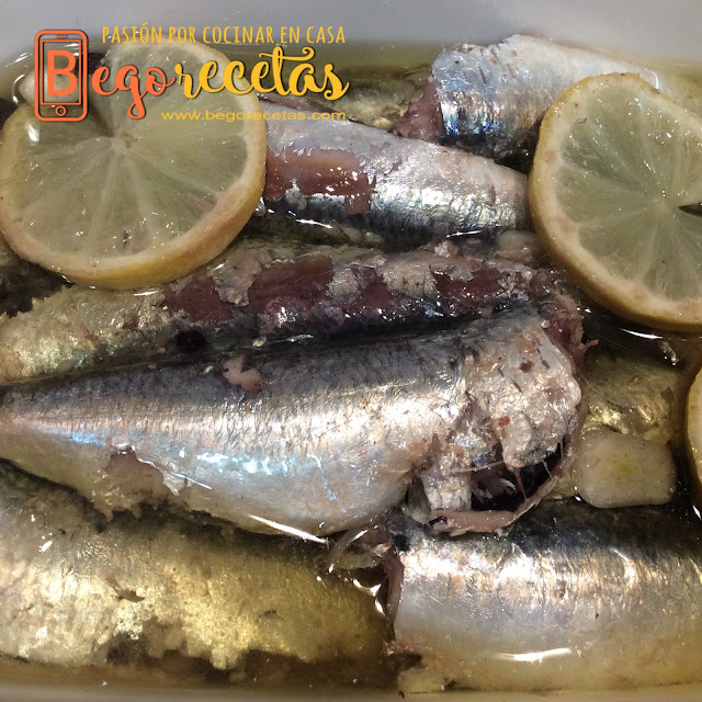 Sardinas confitadas - Ollas GM F y G